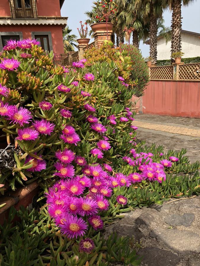 Villa Papardo จาร์เร ภายนอก รูปภาพ